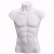 Busto Masculino Branco