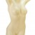 Manequim Feminino Busto Claudia Raia